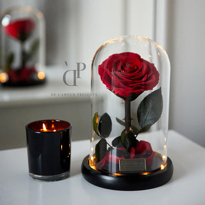 Rosa natural eterna en una cúpula de vidrio